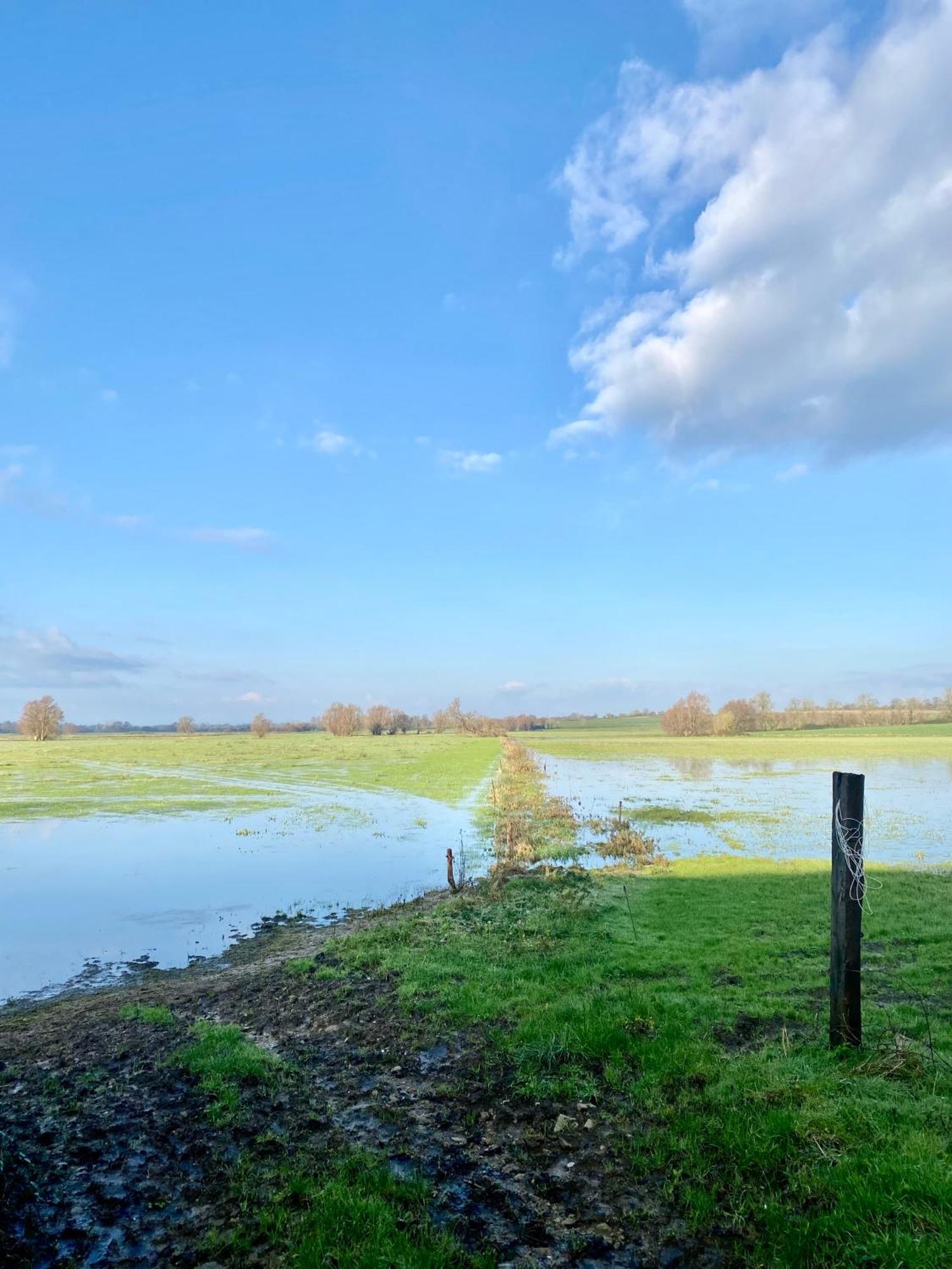 Chambre De Jeanne - Le Refuge Des Parachutistes - En Bordure Du Marais Neuville-au-Plain Ngoại thất bức ảnh